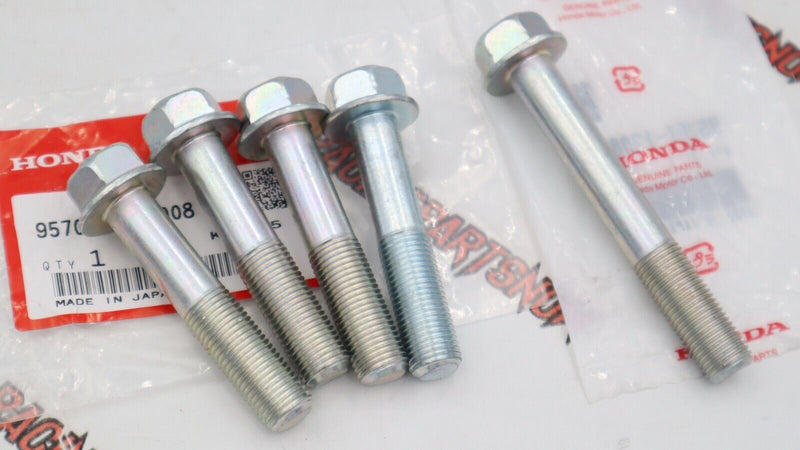 Genuine OEM Honda Acura K-Series Transmission Bolts 5PC Set K20 K24 K SWAP NEW