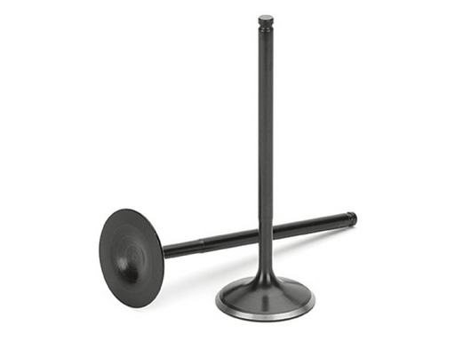 Supertech BMW M20 2.5L Black Nitrided Intake Valve - Set of 6 - BattleBorn SpeedShop