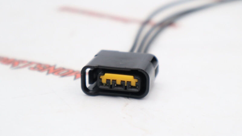 HARNESS 33