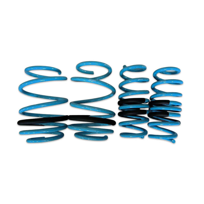 Lowering Springs