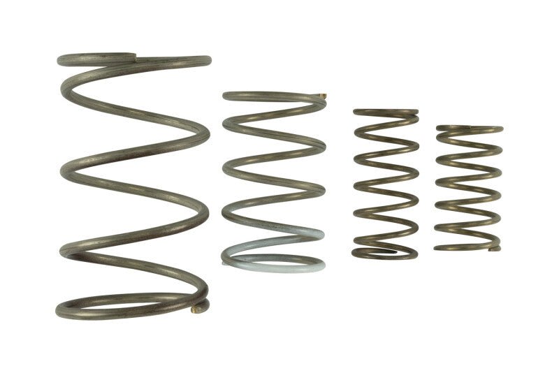 Turbosmart Gen V WG60 Spring Replacement Kit - BattleBorn SpeedShop