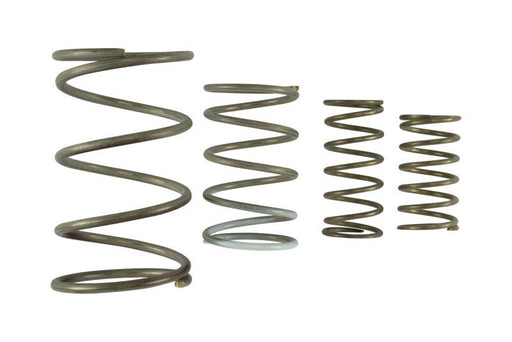 Turbosmart Gen V WG60 Spring Replacement Kit - BattleBorn SpeedShop